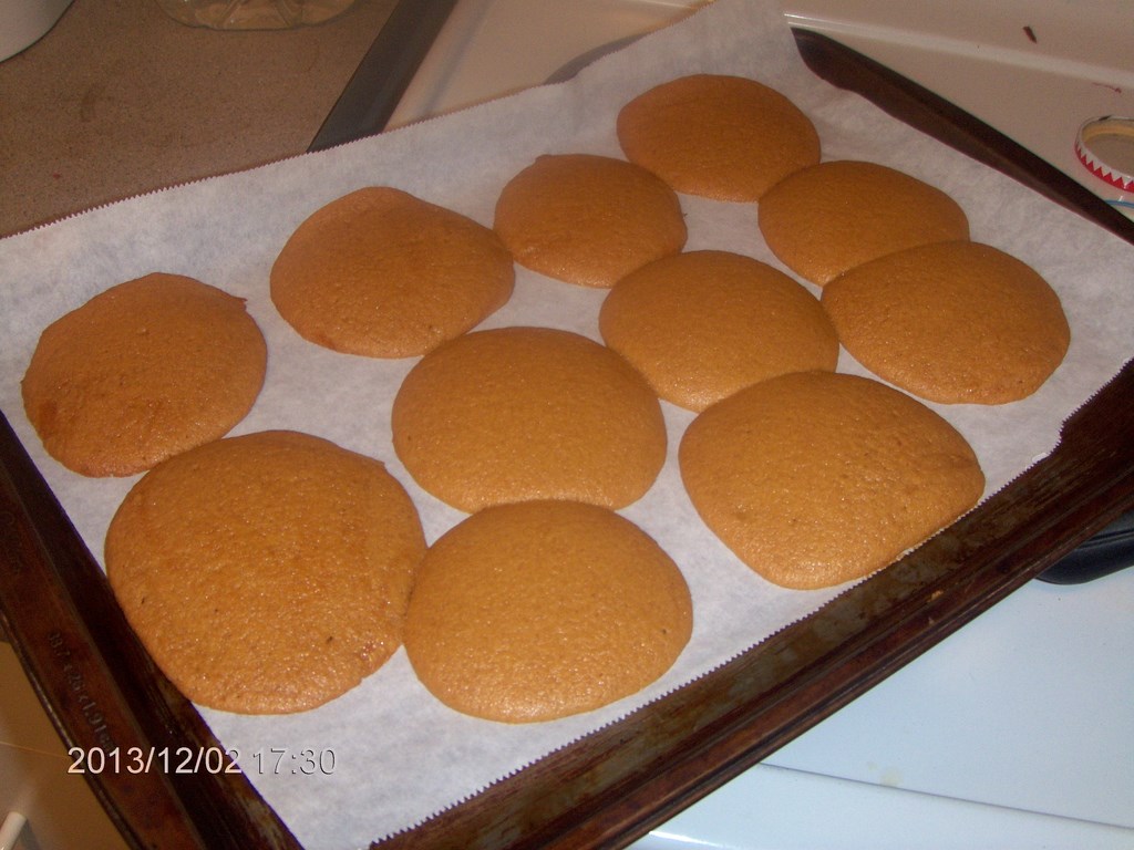 Christopher Greaves GingerSnaps_HPIM6428.JPG