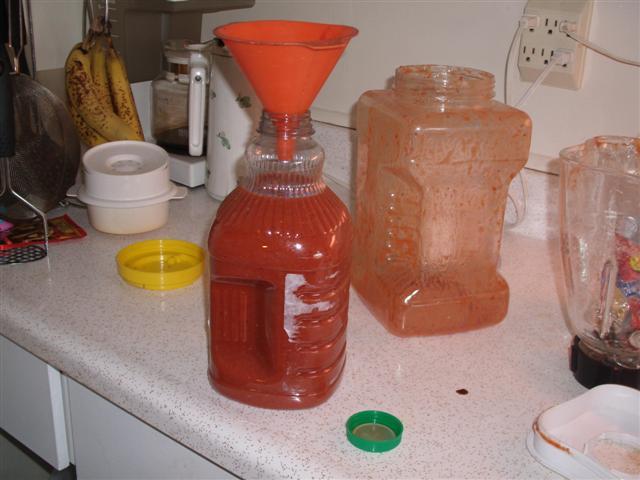 Christopher Greaves TOMATOJUICE_GEDC1647.JPG