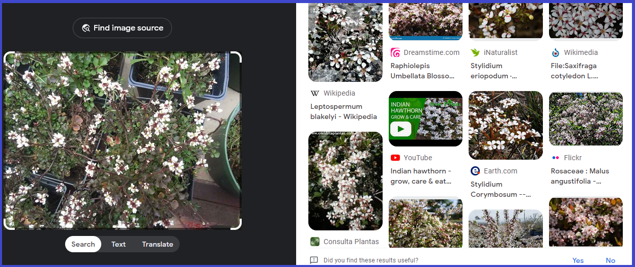 Christopher Greaves 20240507_1.png