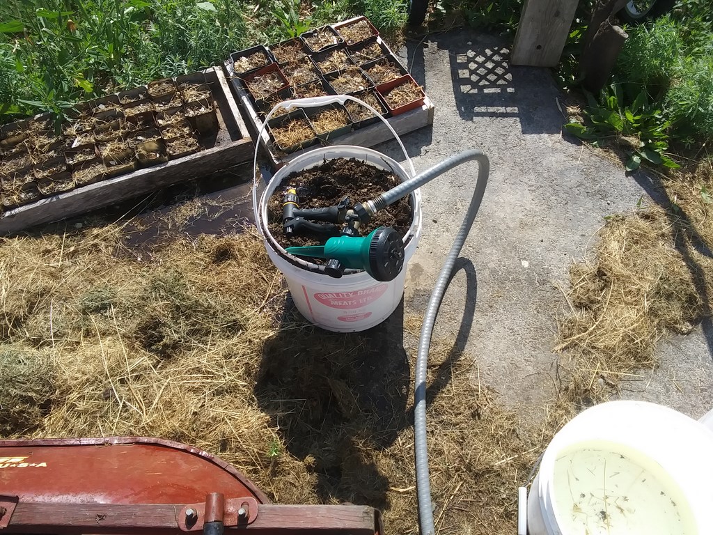 Christopher Greaves Diary_07_20240723_101034.jpg