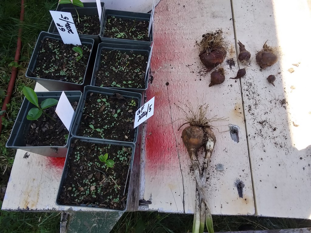 Christopher Greaves Diary_08_20240803_121458_HDR.jpg