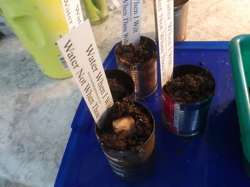 Christopher Greaves Diary_2023_10_20240123_104036.jpg