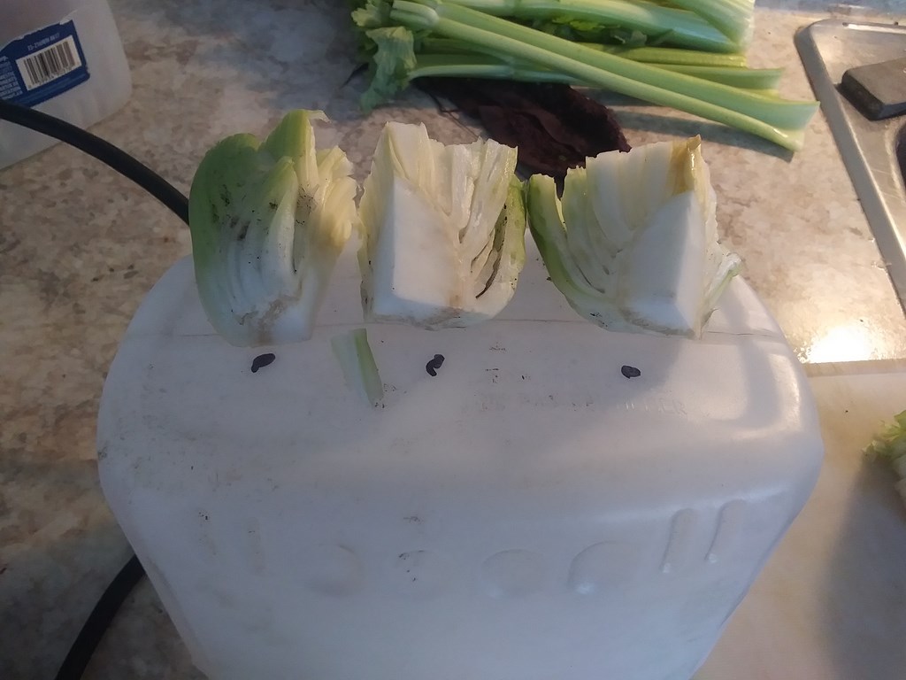 Christopher Greaves Diary_20240116_113358.jpg