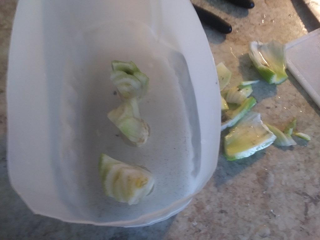 Christopher Greaves Diary_20240116_113757.jpg