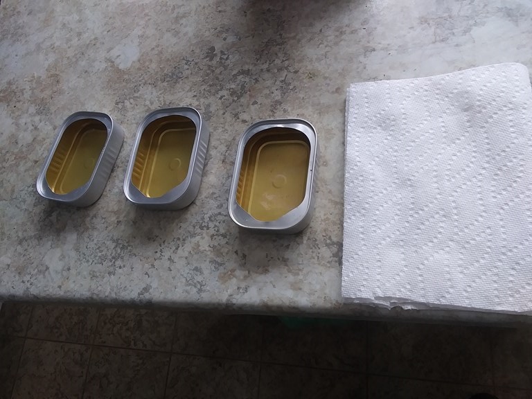 Christopher Greaves Diary_20240127_103457.jpg