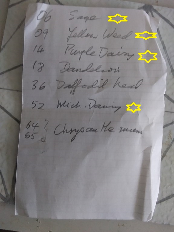 Christopher Greaves Diary_20240127_103605.jpg