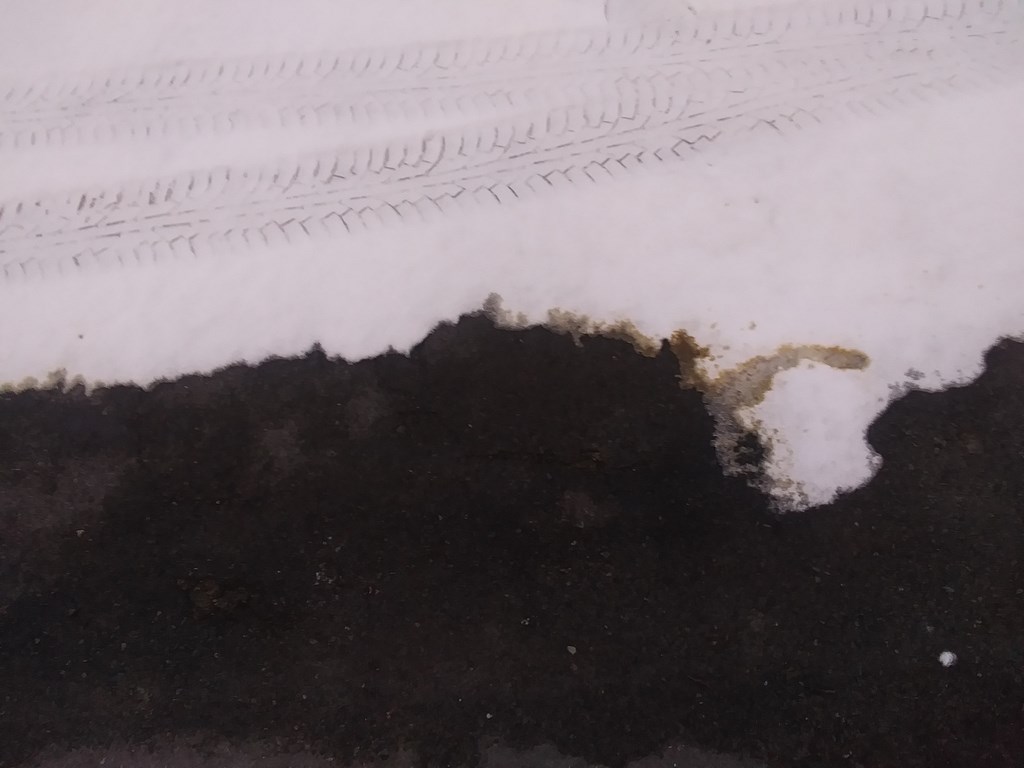 Christopher Greaves Diary_20240210_170908.jpg