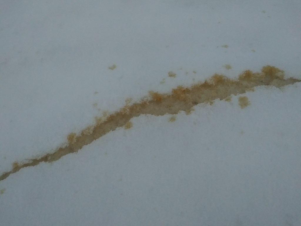 Christopher Greaves Diary_20240210_170920.jpg