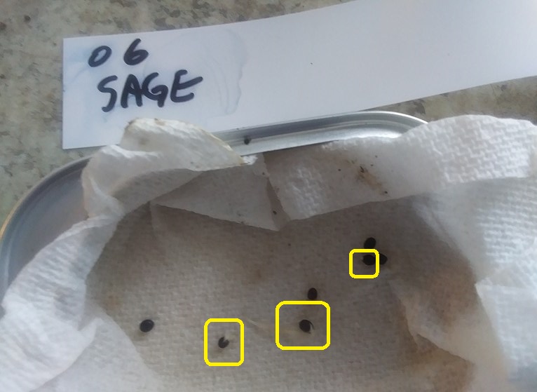 Christopher Greaves Diary_20240214_135354.jpg