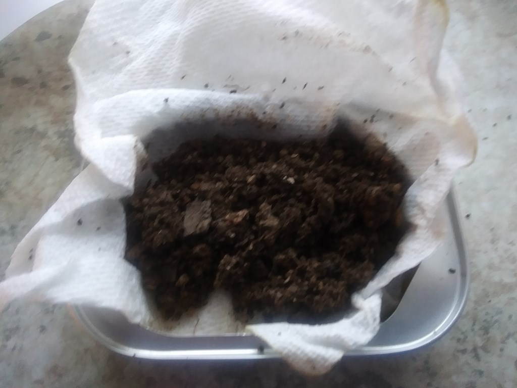 Christopher Greaves Diary_20240214_135422.jpg