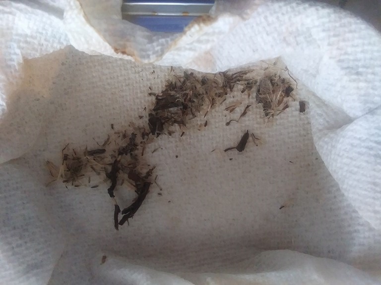 Christopher Greaves Diary_20240214_135449.jpg