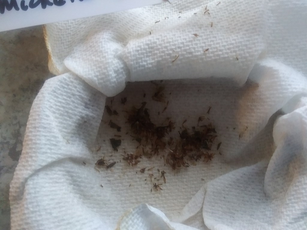 Christopher Greaves Diary_20240214_135534.jpg