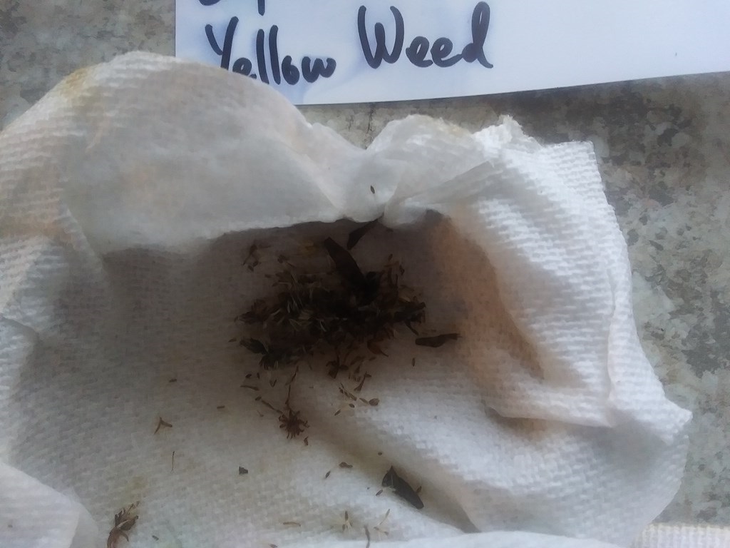 Christopher Greaves Diary_20240214_135618.jpg