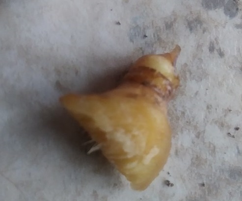 Christopher Greaves Diary_20240214_135719.jpg