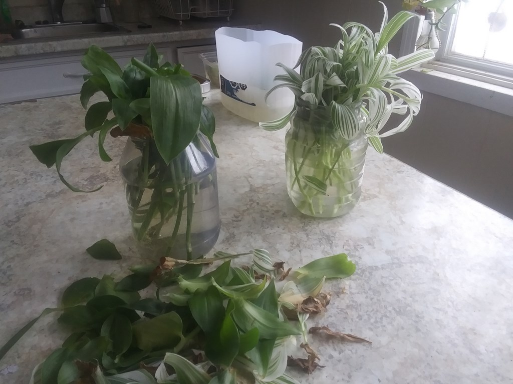 Christopher Greaves Diary_20240216_110624.jpg