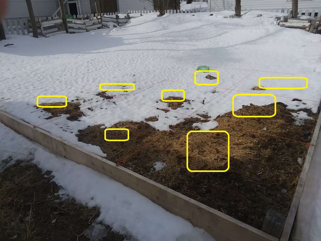 Christopher Greaves Diary_20240227_100838.jpg