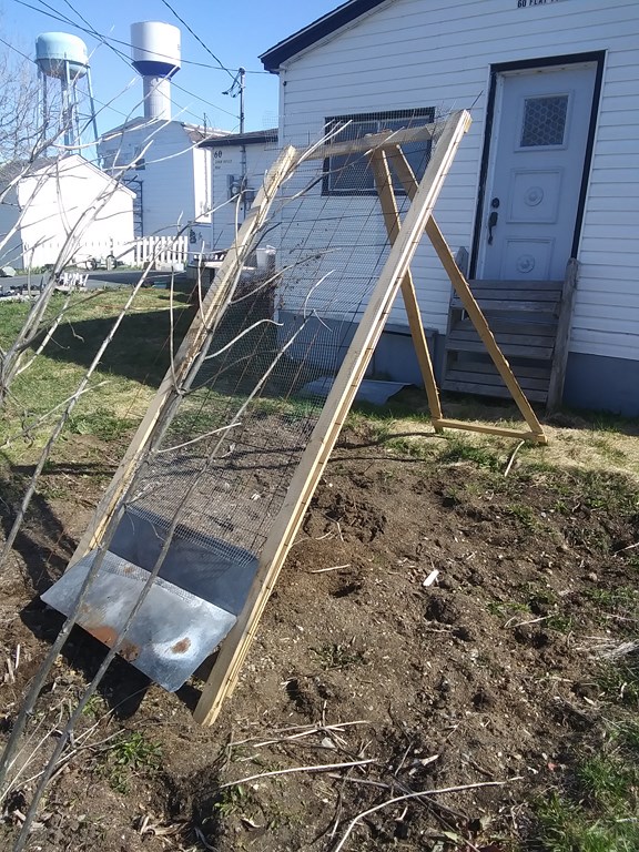 Christopher Greaves Diary_20240505_155825.jpg