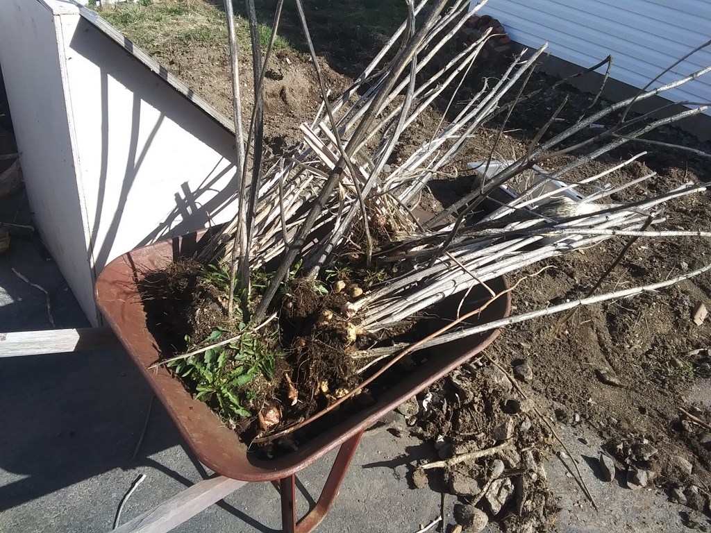 Christopher Greaves Diary_20240505_161038.jpg