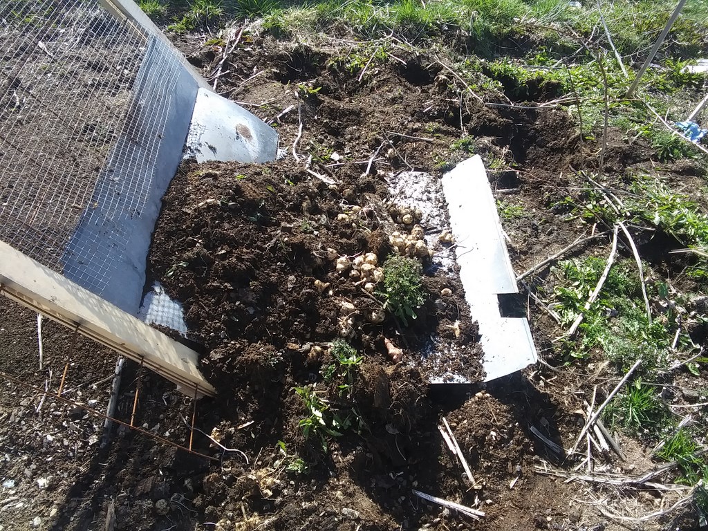 Christopher Greaves Diary_20240505_161105.jpg