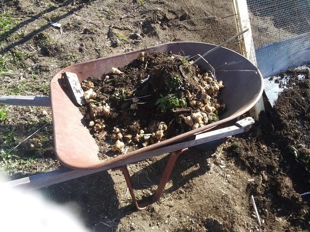 Christopher Greaves Diary_20240505_164651.jpg