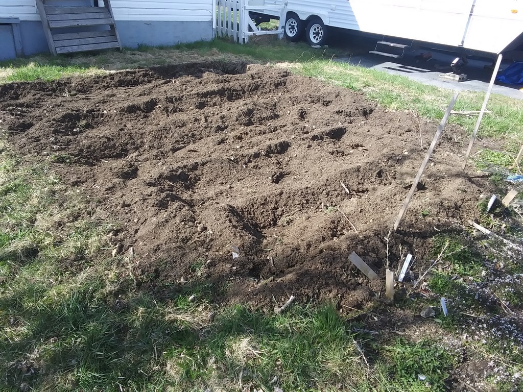 Christopher Greaves Diary_20240506_094025.jpg