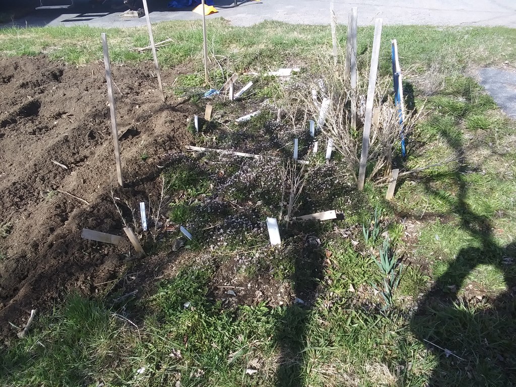 Christopher Greaves Diary_20240506_094028.jpg