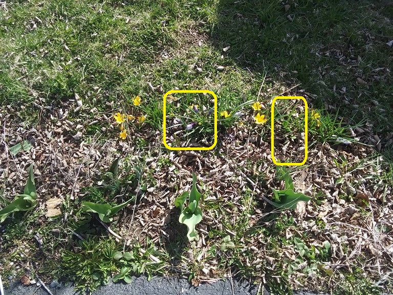 Christopher Greaves Diary_20240506_094056.jpg