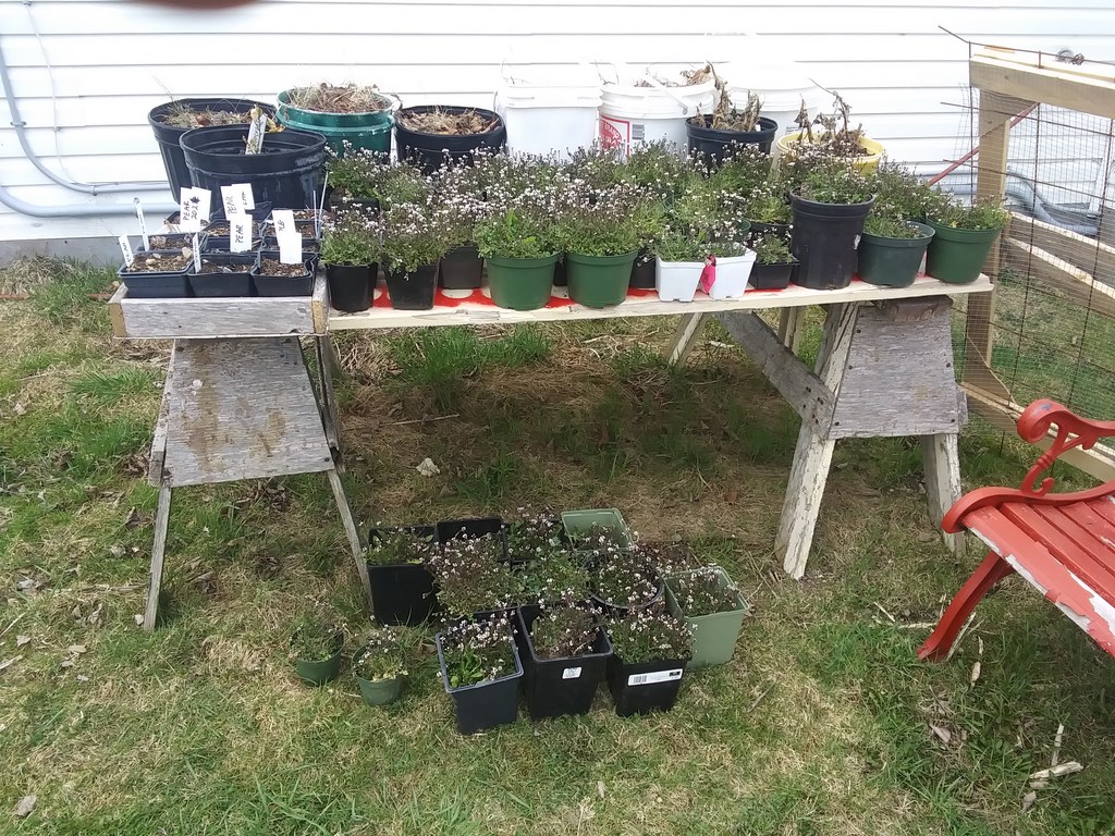 Christopher Greaves Diary_20240507_101332.jpg