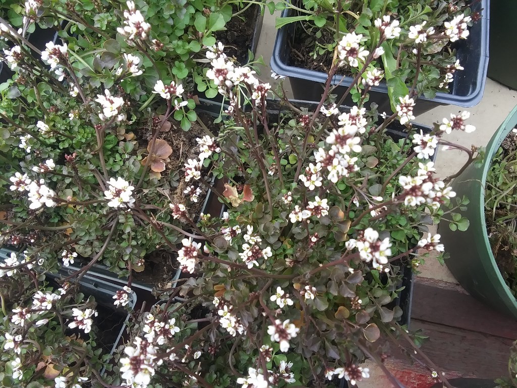 Christopher Greaves Diary_20240507_101343.jpg