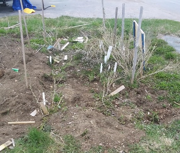 Christopher Greaves Diary_20240507_101355.jpg