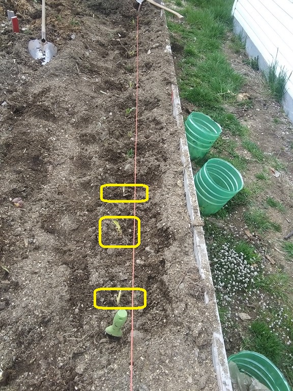 Christopher Greaves Diary_20240510_144200.jpg