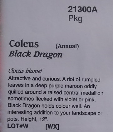 Christopher Greaves Diary_20240511_104417.jpg