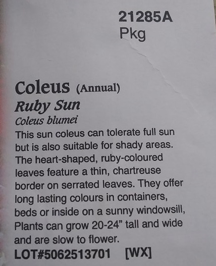 Christopher Greaves Diary_20240511_104421.jpg