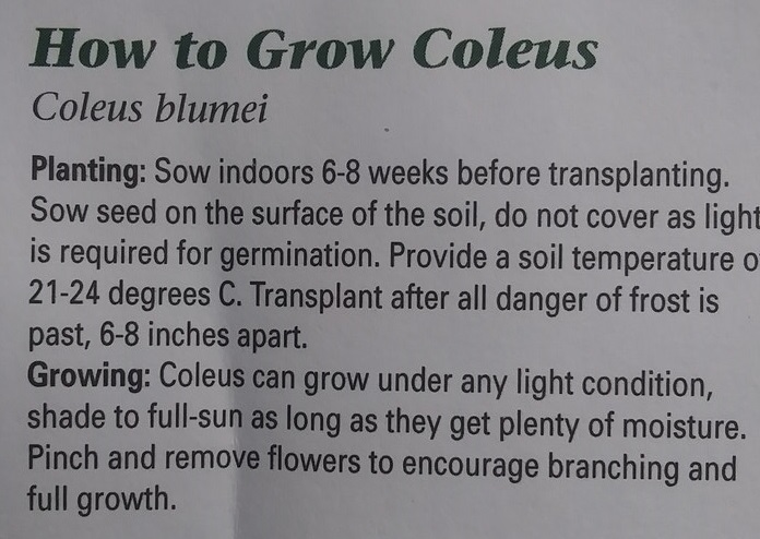 Christopher Greaves Diary_20240511_104438.jpg