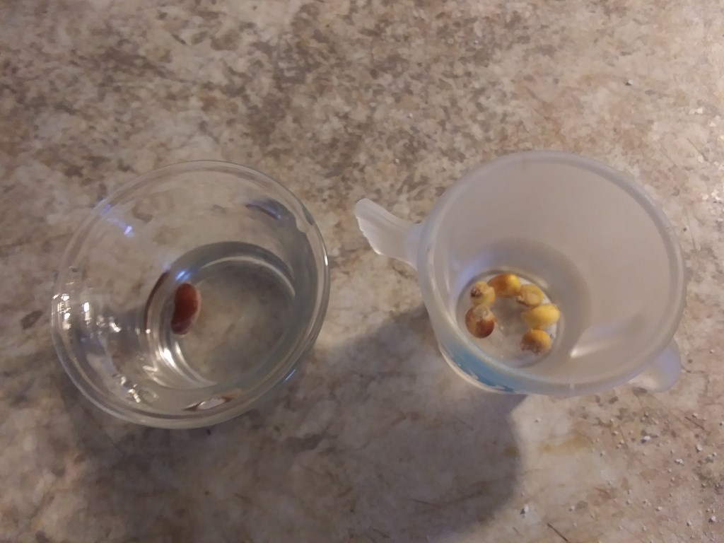 Christopher Greaves Diary_20240512_083745.jpg