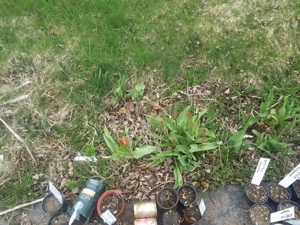 Christopher Greaves Diary_20240514_110028.jpg