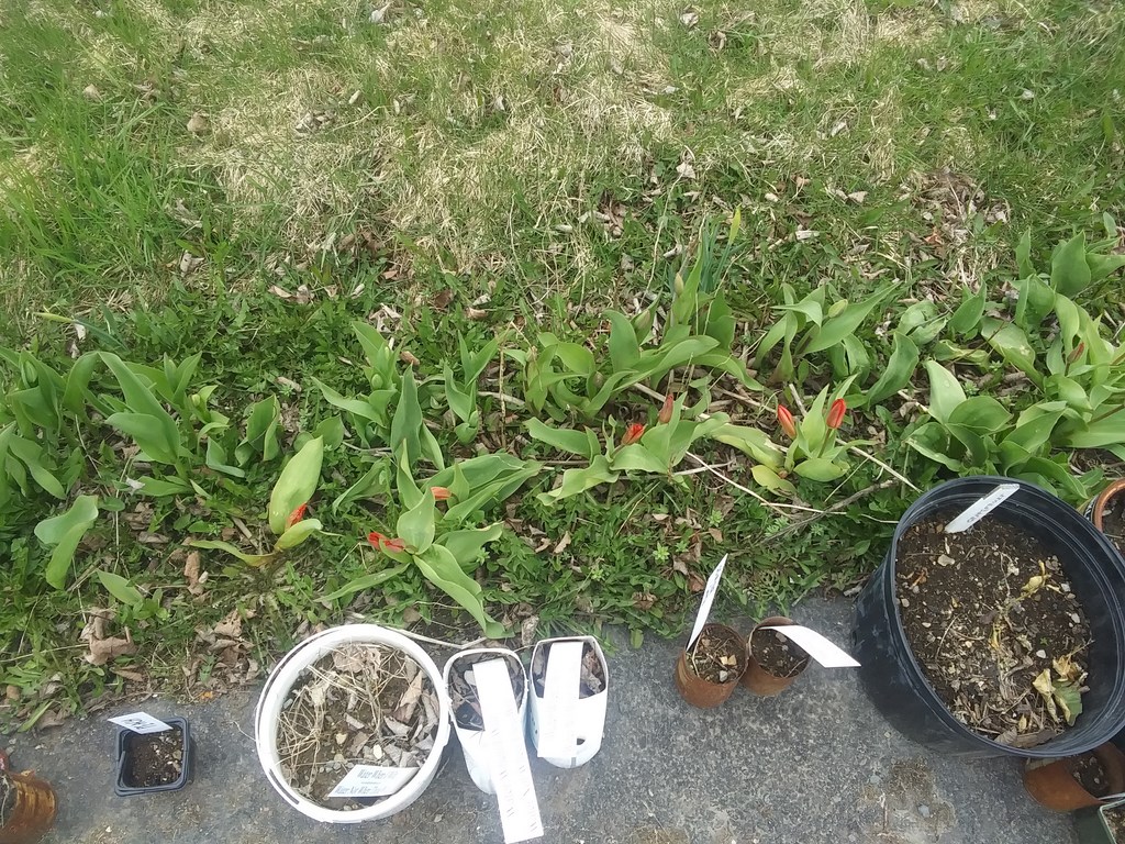 Christopher Greaves Diary_20240514_110033.jpg