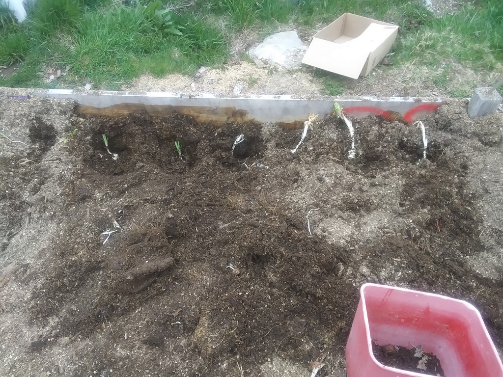 Christopher Greaves Diary_20240514_112125.jpg