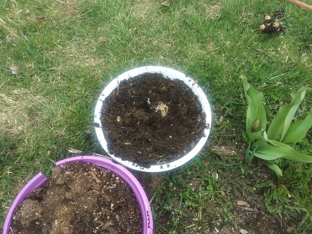 Christopher Greaves Diary_20240514_112338.jpg