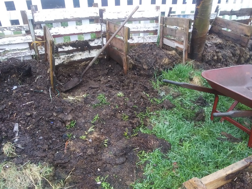 Christopher Greaves Diary_20240515_062249.jpg