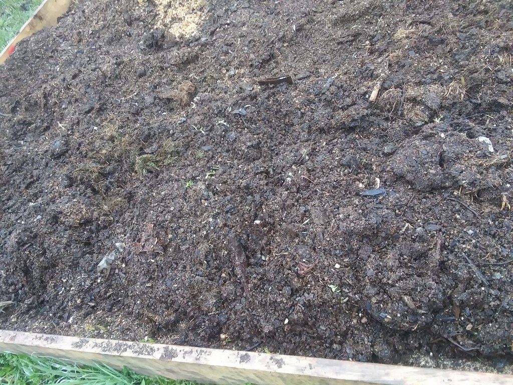 Christopher Greaves Diary_20240515_062255.jpg