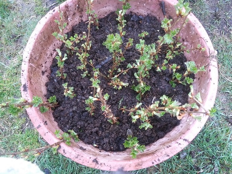 Christopher Greaves Diary_20240515_104136.jpg