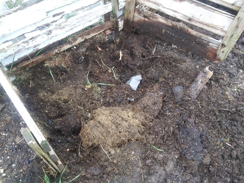 Christopher Greaves Diary_20240515_154709.jpg