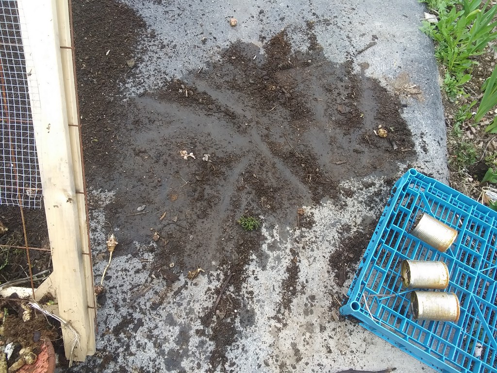 Christopher Greaves Diary_20240516_180418.jpg