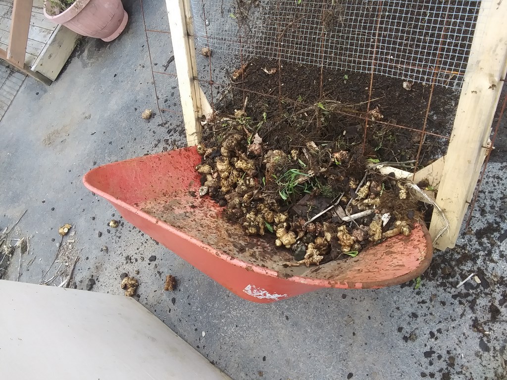 Christopher Greaves Diary_20240516_180422.jpg