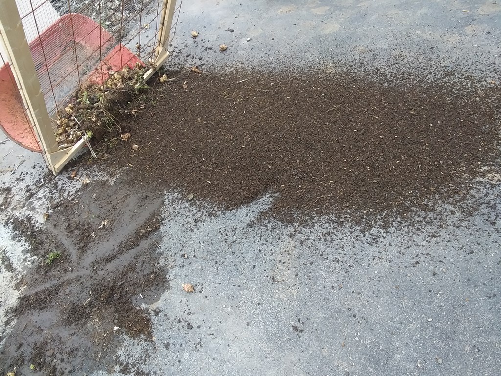 Christopher Greaves Diary_20240516_180429.jpg