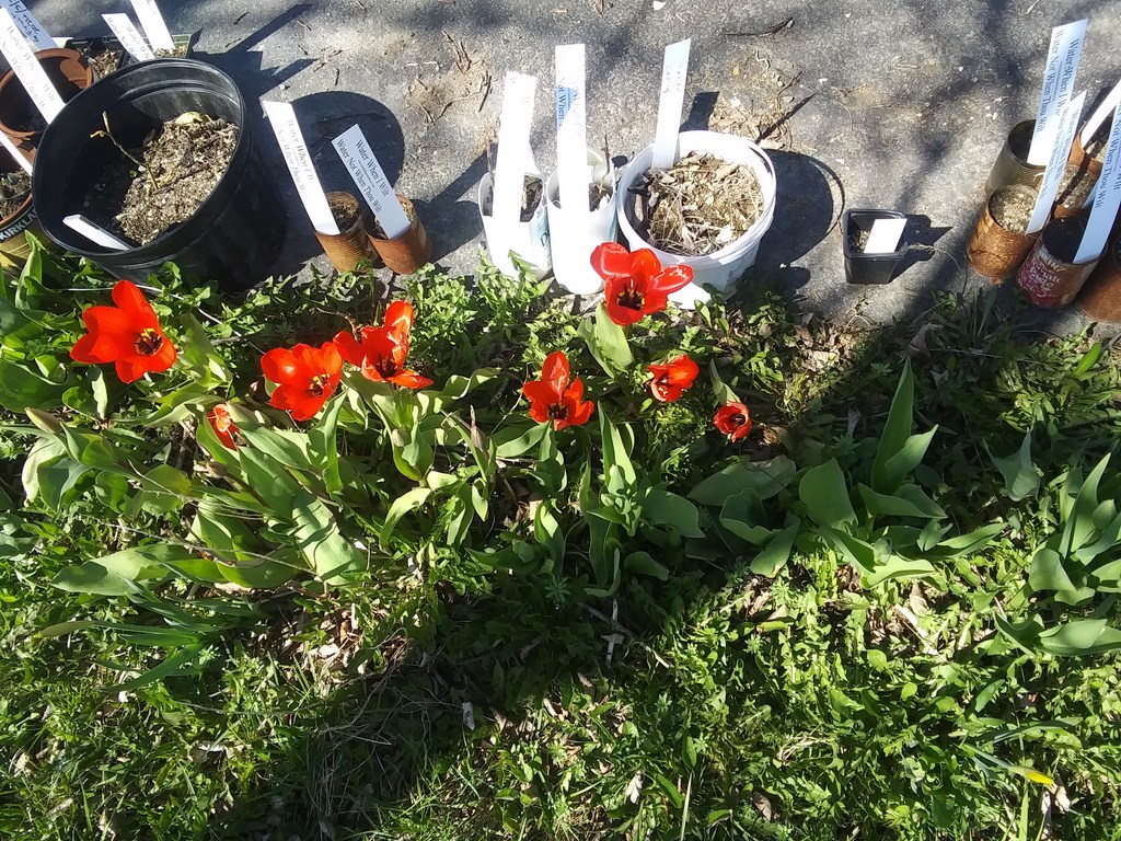 Christopher Greaves Diary_20240520_103615.jpg