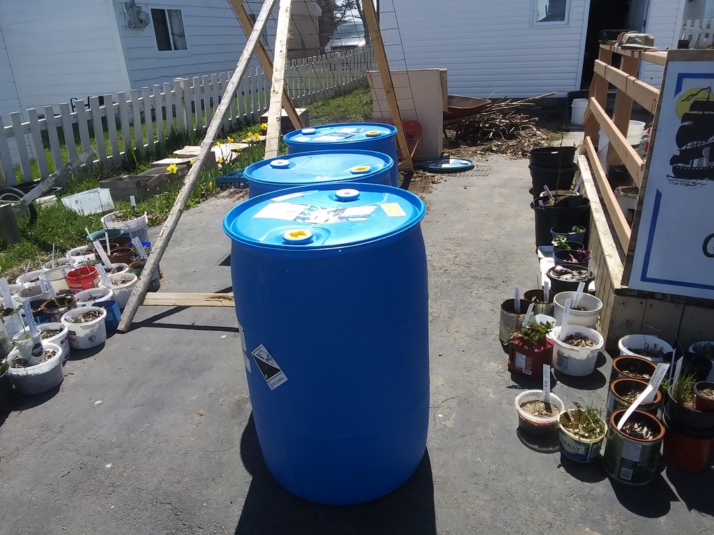 Christopher Greaves Diary_20240520_121522.jpg