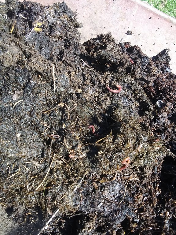 Christopher Greaves Diary_20240520_135215.jpg