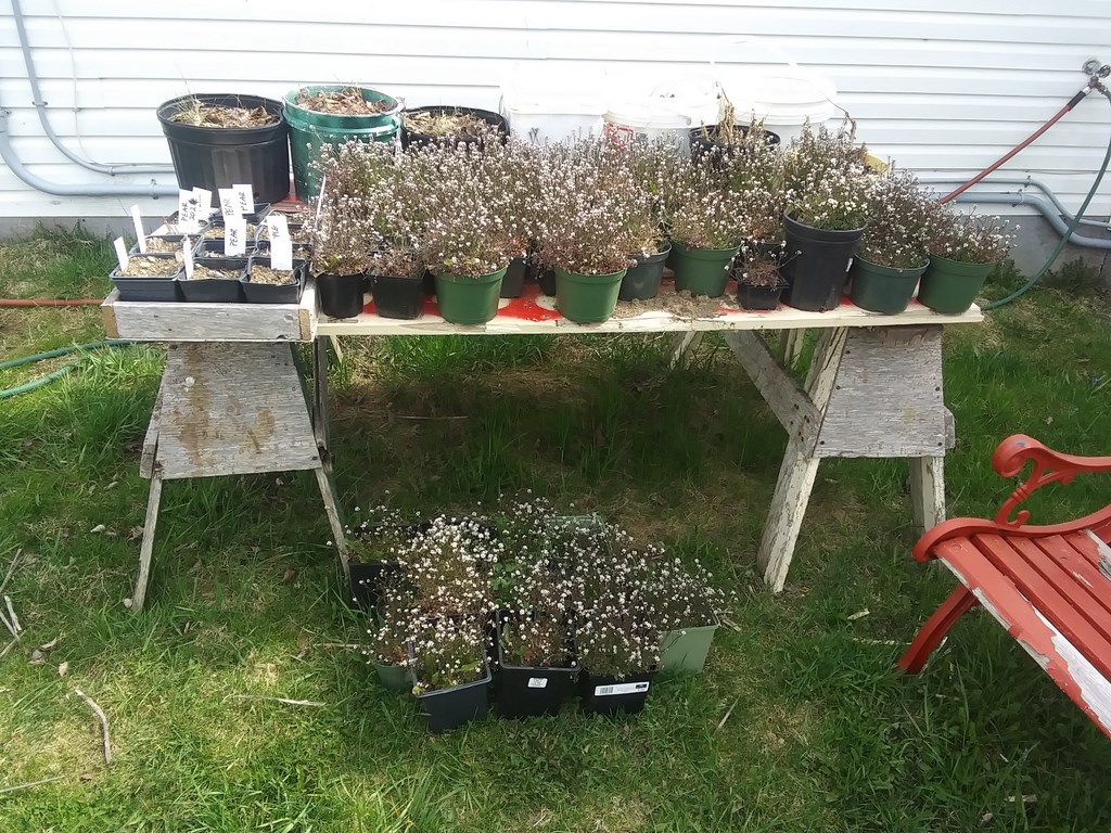 Christopher Greaves Diary_20240521_160726.jpg